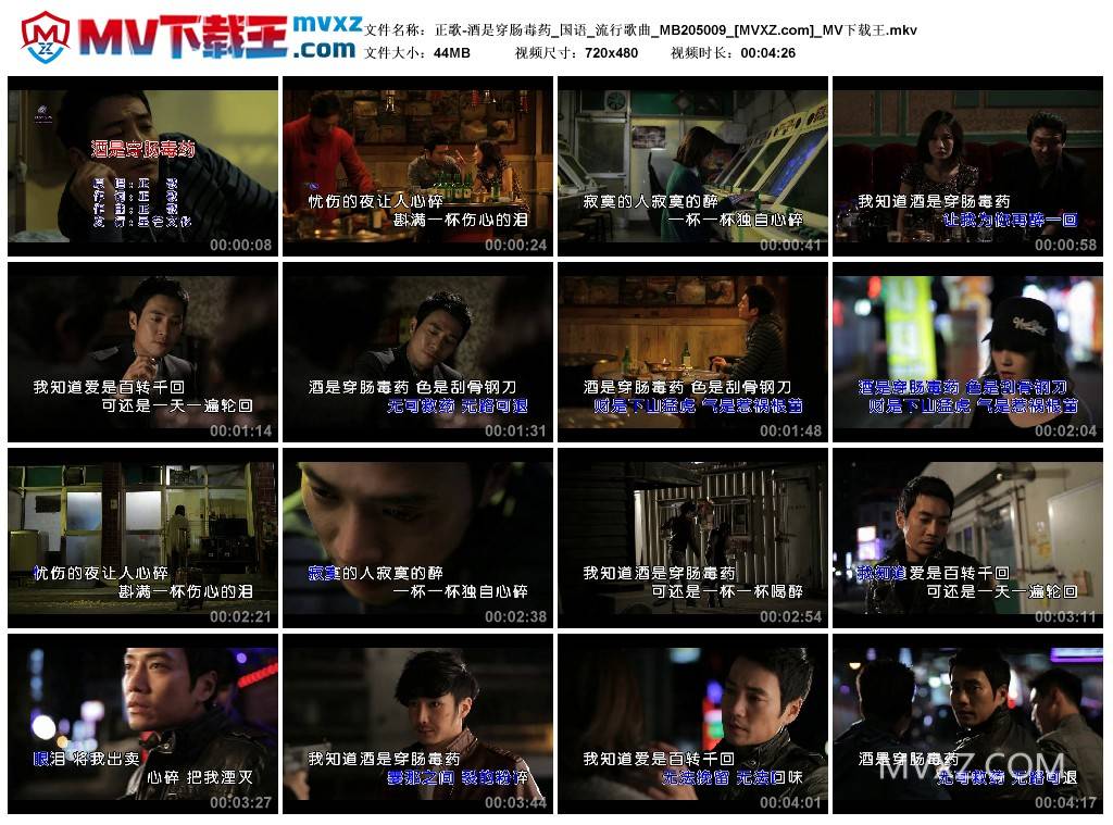 正歌-酒是穿肠毒药_国语_流行歌曲_MB205009